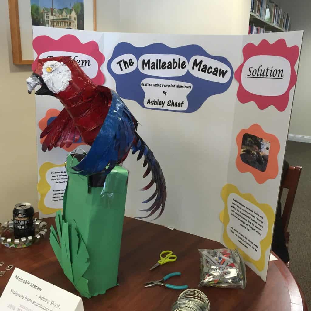 Malleable Macaw by Ashley Shaaf