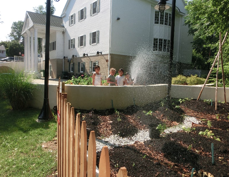 children watering a garden