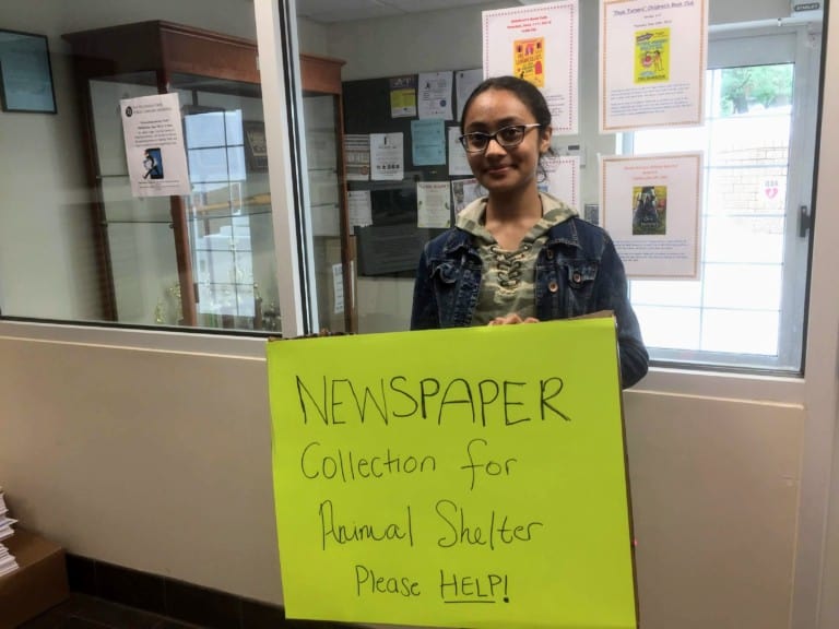 Now Collecting: Newspaper