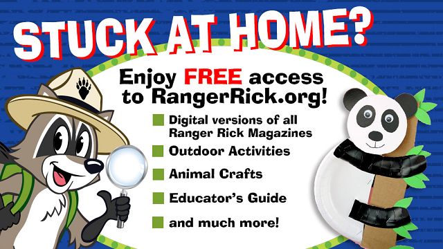 Fun & Free Children’s Activity: Ranger Rick