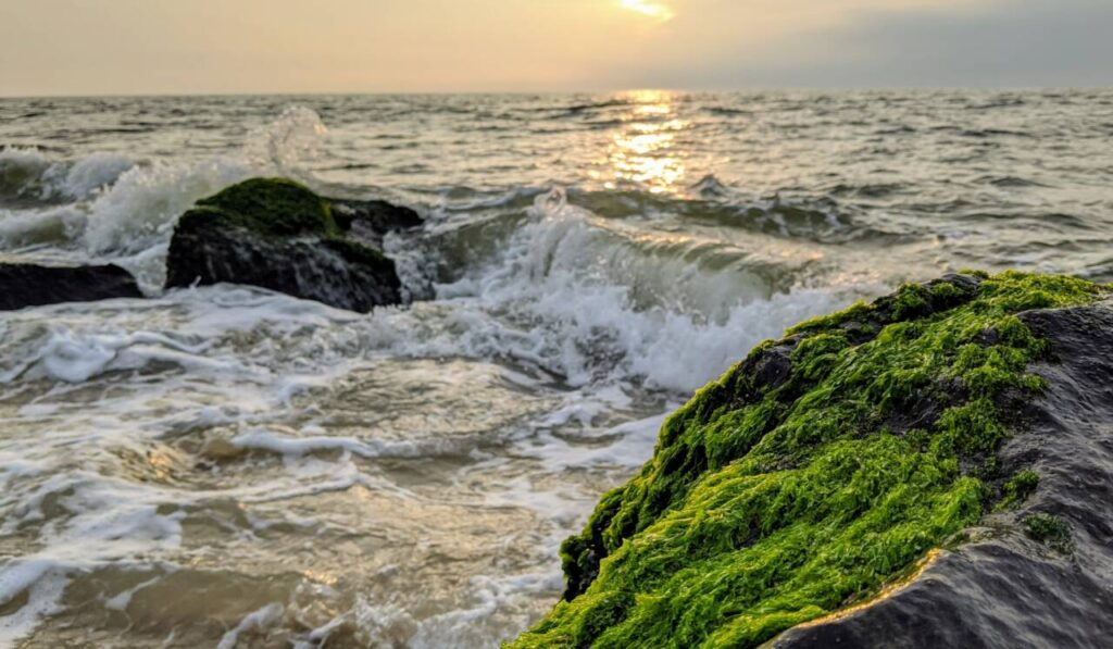 High-res image of waves hitting shore line