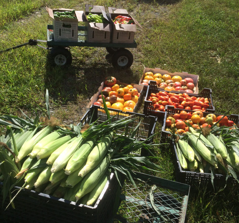 Adapting Small Farm Methods to Backyard Gardens                 March 18 at 7PM