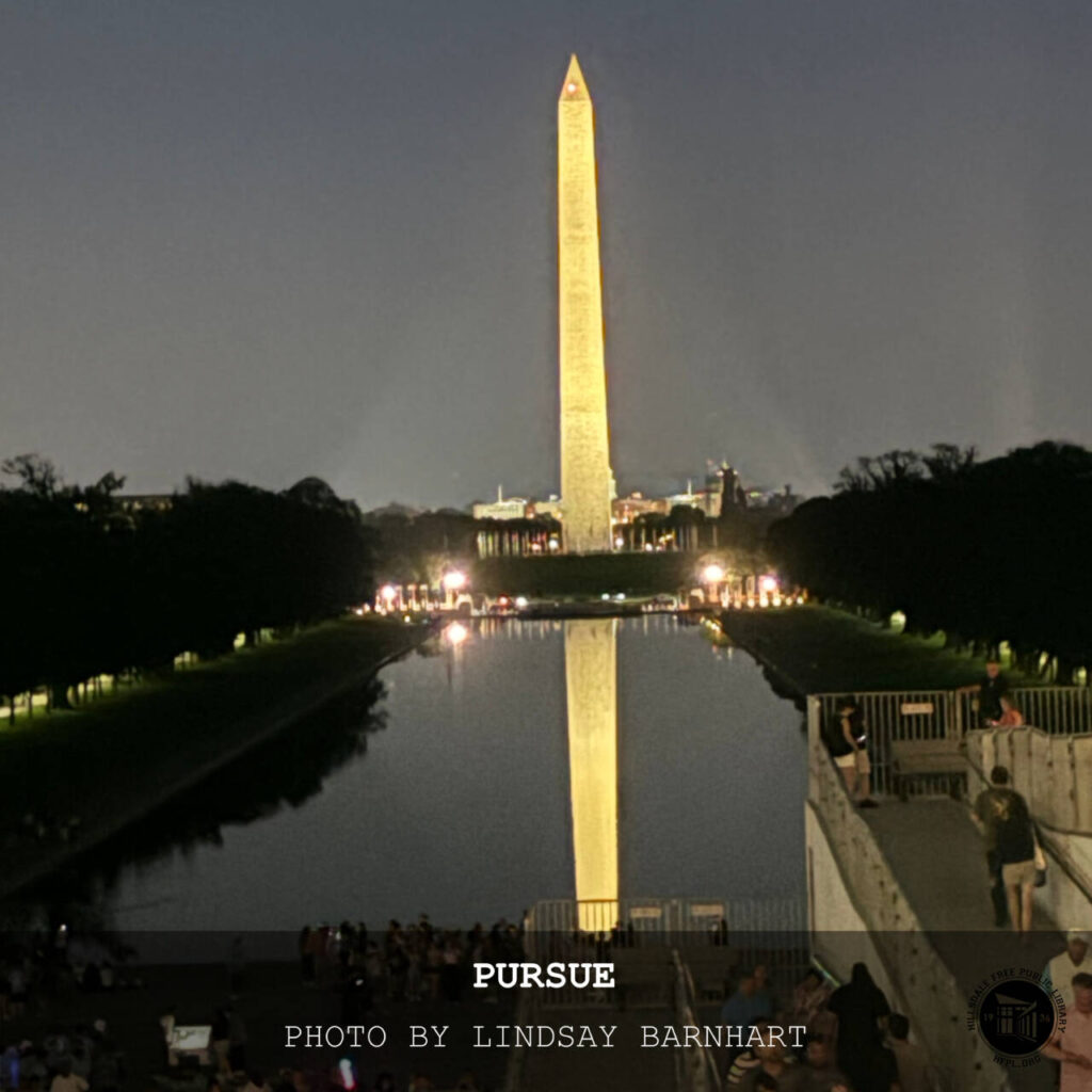 An image of the Washington Monument at night.