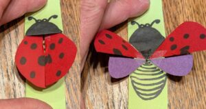 Paper cut out of a ladybug with closed and open wings.