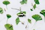 Arranged Ginkgo Leaves and Capsules on Marble Surface