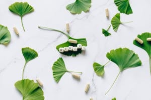 Arranged Ginkgo Leaves and Capsules on Marble Surface