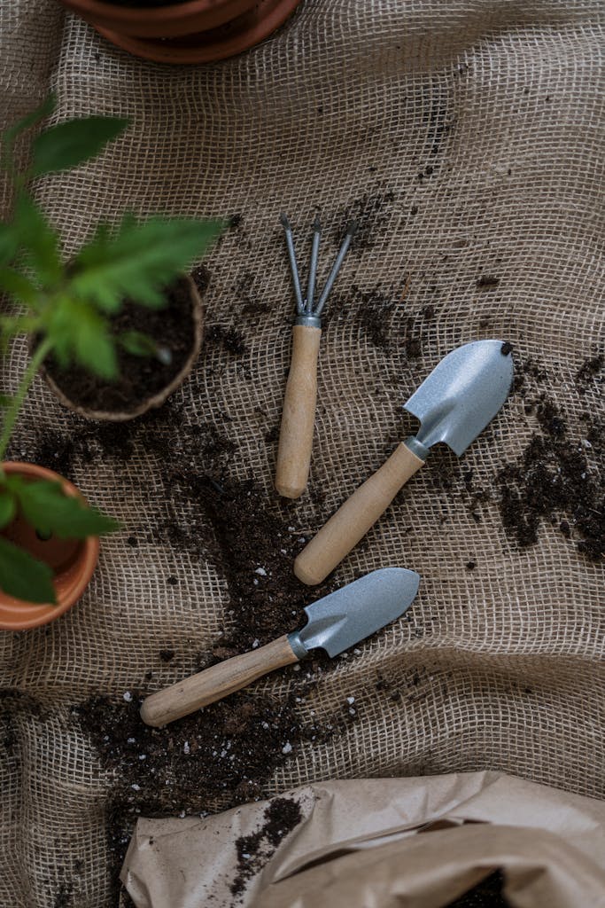 Gardening tools with potted plants and soil on burlap, perfect for home gardening themes.