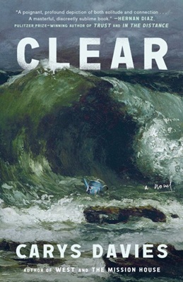Book jacket of Clear by Carys Davies