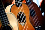 Detailed view of classic acoustic guitars and ukuleles showcasing wooden textures and design.