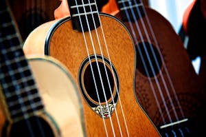 Detailed view of classic acoustic guitars and ukuleles showcasing wooden textures and design.