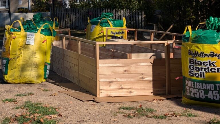 Kids Garden Club – November 11