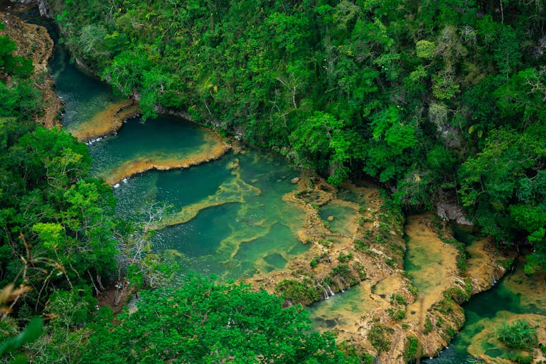 Lush tropical landscape with river and forest in Lanqúin, Guatemala.
