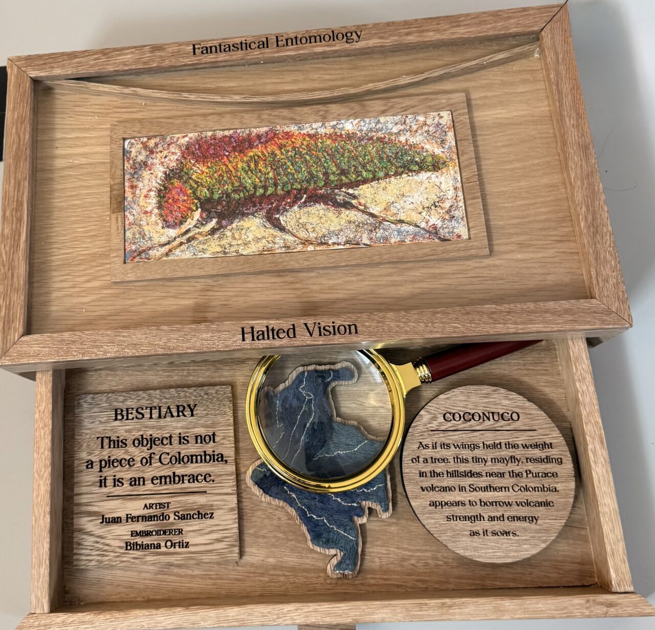 Halted Vision - Entomology piece from Colombianidad exhibit