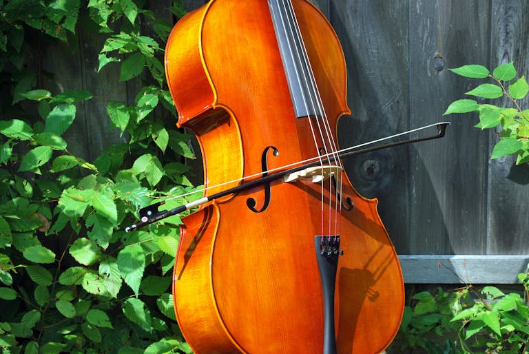 A beautifully crafted cello rests outdoors surrounded by greenery, showcasing its rich wood tones.