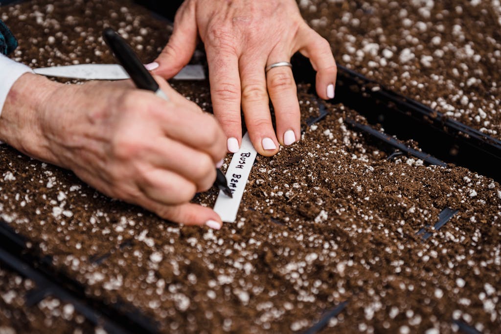 A gardener's hands labeling seed trays, focusing on horticulture and plant cultivation.