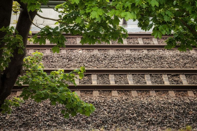 A serene view of railway tracks surrounded by green trees, perfect for travel themes.