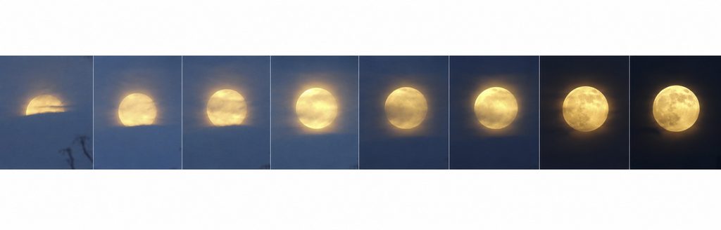 Moon Series photo by Sarah Murphy